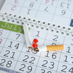 Broken cigarette pinned to calendar, closeup Broken cigarette pinned to calendar, closeup