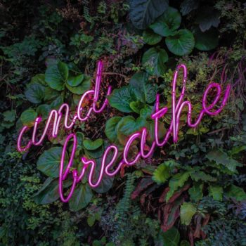 victor-BiGS_w9t7FU-unsplash victor-BiGS_w9t7FU-unsplash